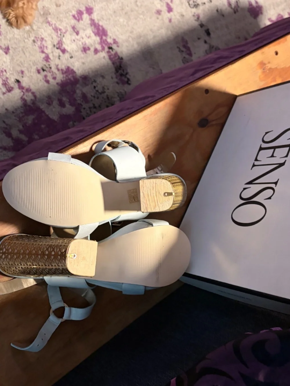 SENSO Women’s Shoes